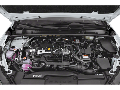 2023 Toyota Prius XLE